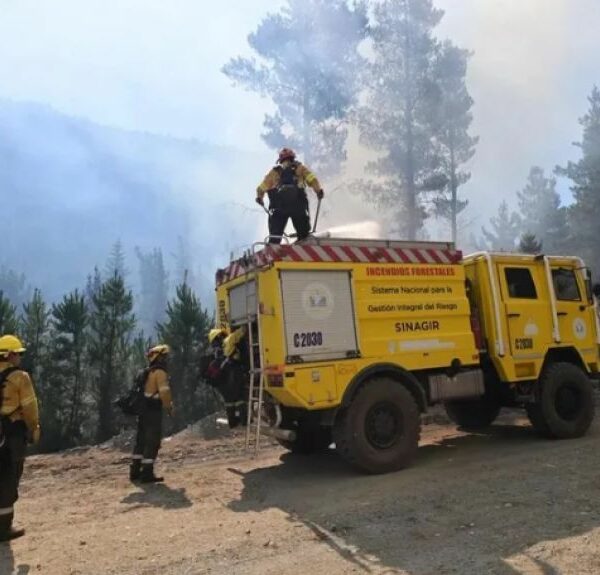 El ministerio de Seguridad advirtió que juzgará a los responsables de los incendios