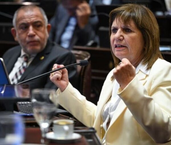 El Senado convirtió en ley el Régimen Penal Juvenil y la edad de imputabilidad baja a 14 años