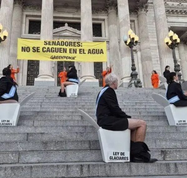 Detuvieron a 12 activistas de Greenpeace que saltaron las rejas del Congreso