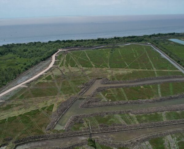La Corte frenó un emprendimiento sobre un humedal en Berazategui