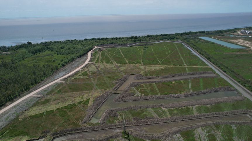 La Corte frenó un emprendimiento sobre un humedal en Berazategui