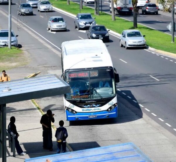 Extienden la concesión de la línea 338 y habrá cambios en el servicio que atraviesa Quilmes, Berazategui y Varela