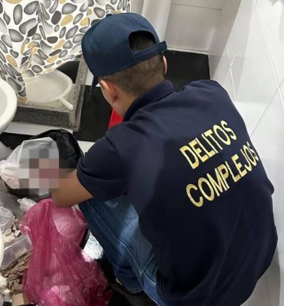 Horror en una clínica: encontraron ocho fetos humanos en bolsas de residuos