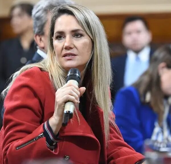 Reimpulsan en el Senado el proyecto sobre falsas denuncias