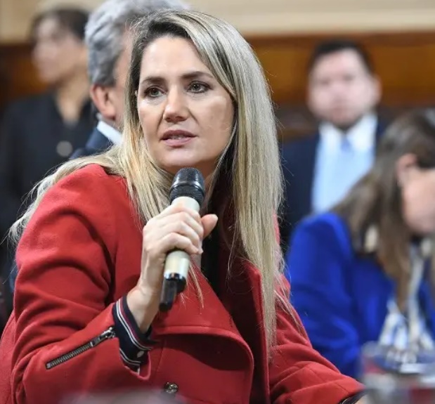 Reimpulsan en el Senado el proyecto sobre falsas denuncias