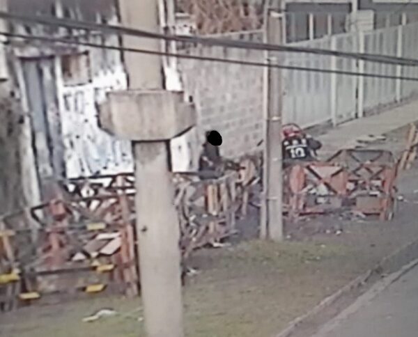 Riesgosa maniobra para robar cableado en Florencio Varela