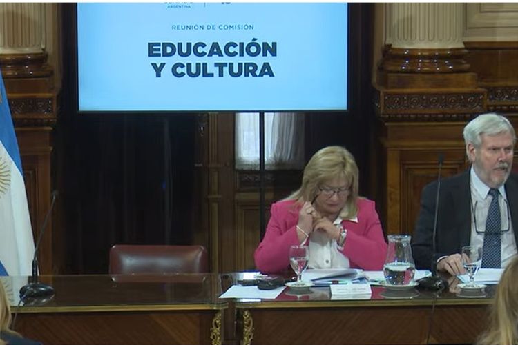 El Senado pasó a la firma un proyecto para incorporar la educación vial en los niveles educativos