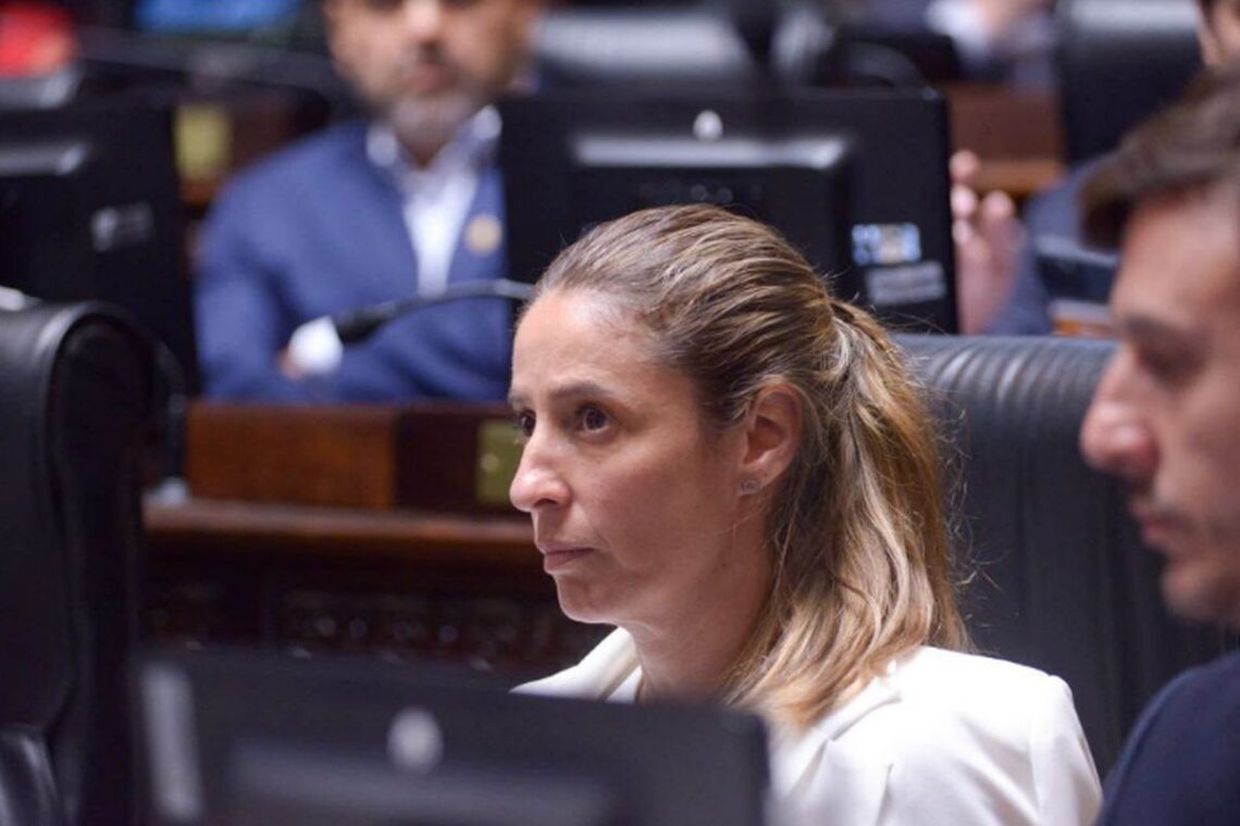 Kienast apoyó el pedido de LLA para que edificios públicos no tengan imágenes partidarias