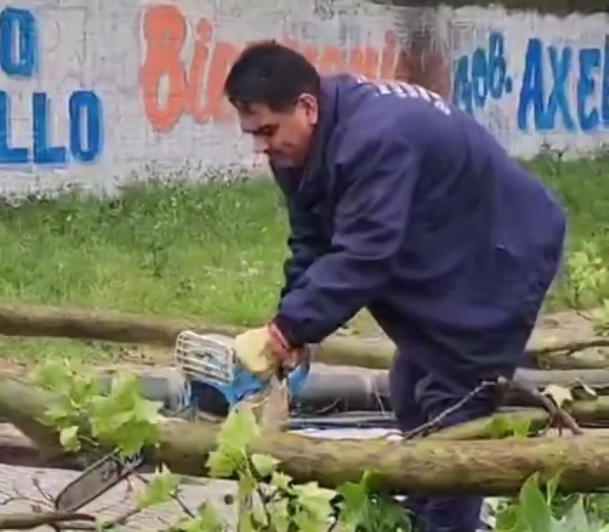 En Berazategui trabajaron para paliar los destrozos que dejó la tormenta