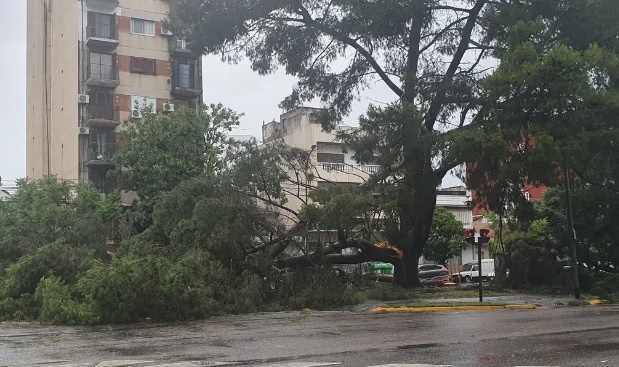 Temporal en AMBA y la región: 16 heridos, 363 árboles caídos, apagón y más de 100 vuelos cancelados