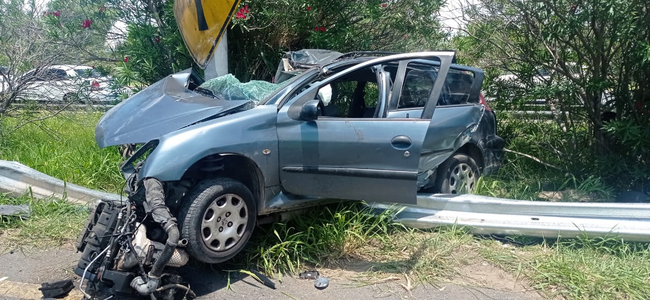 Accidente en la autopista a la altura de Quilmes: quiso esquivar un perro y chocó contra el guardarail