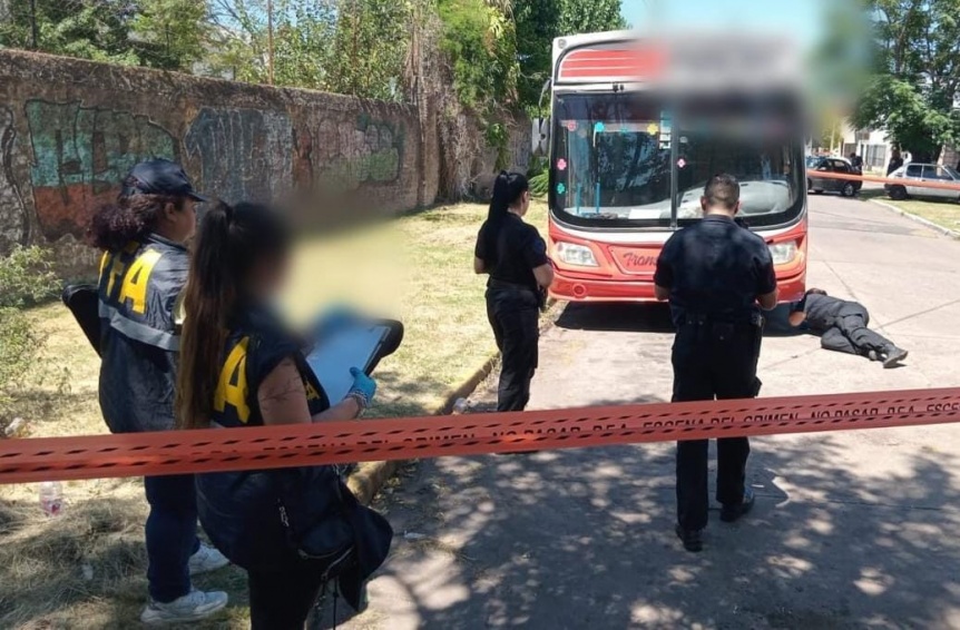 Detuvieron al conductor que atropelló y mató un perro en Lanús