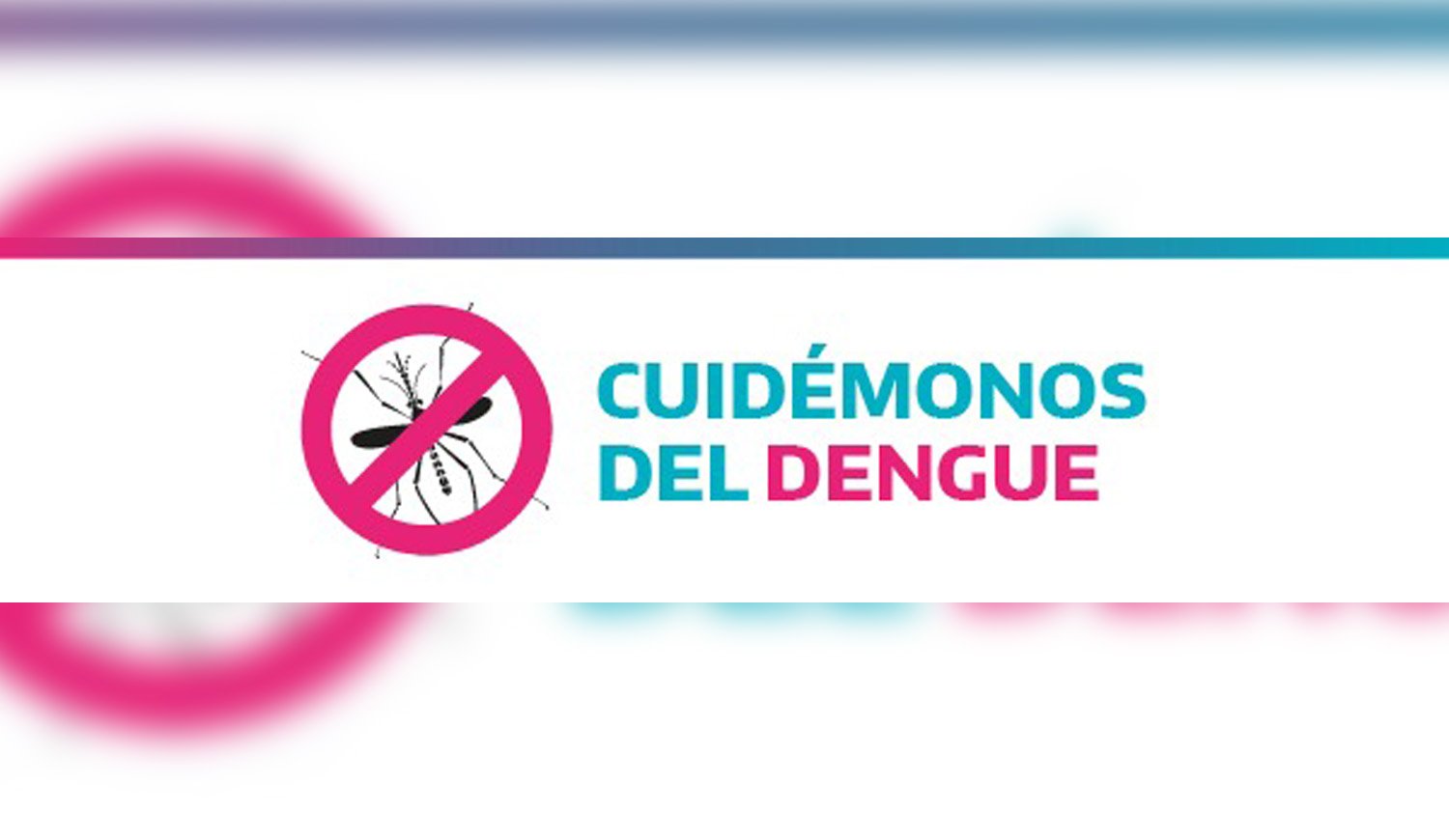 Alerta dengue: el Gobierno de la Provincia recomendó reforzar los cuidados para la prevención