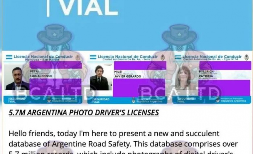 Hackearon la base de datos de las Licencias de Conducir, culparon a Milei, y la venden en la web