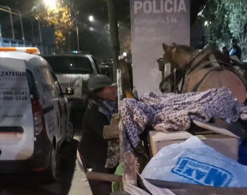 Rescataron a cuatro caballos tras un operativo en Berazategui