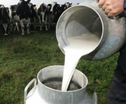 Por la caída en el consumo de lácteos, la producción de leche retrocedió 14,5% en el primer cuatrimestre del año
