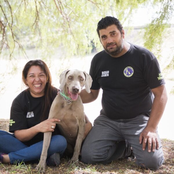 Lanzan campaña solidaria para ayudar al perro  de búsqueda y rescate  Bruno