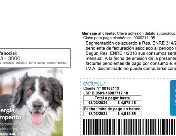 Edesur: la primera empresa de servicios en promover la adopción responsable de perros en su factura