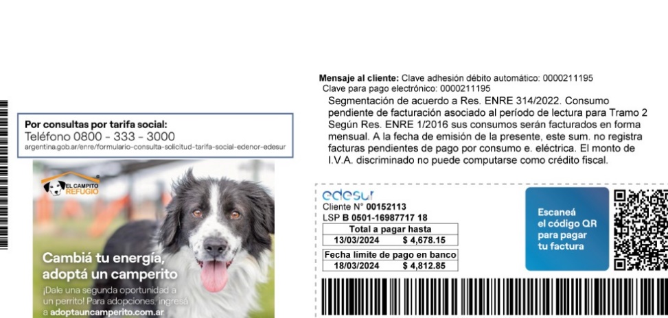 Edesur: la primera empresa de servicios en promover la adopción responsable de perros en su factura