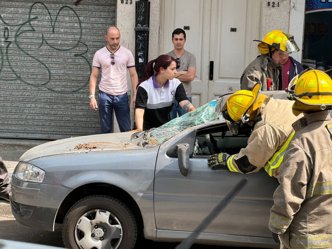 Quilmes Centro: sorpresa por un árbol que cayó sobre un auto y lo destrozó