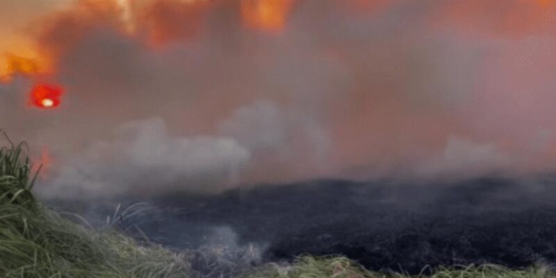 Controlaron el incendio en la reserva natural de Hudson que se dio durante todo el fin de semana