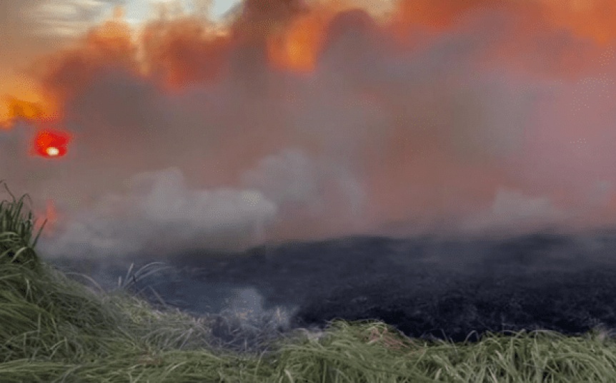 Controlaron el incendio en la reserva natural de Hudson que se dio durante todo el fin de semana