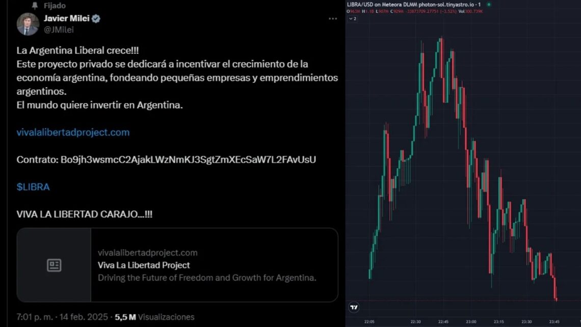 Milei recomendó una criptomoneda y quedó vinculado a una estafa piramidal