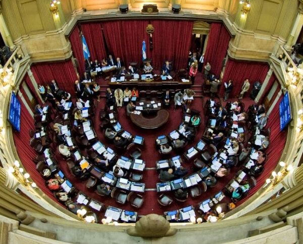 La Ley Ema quedó a un paso de la sanción definitiva