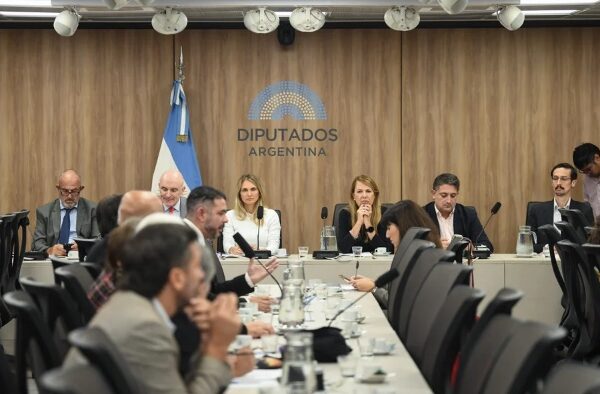 Baja de la edad de imputabilidad: tiene dictamen la modificación al Régimen Penal Juvenil
