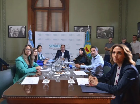 Avanza en el Senado la re-reelección para todos, menos para intendentes