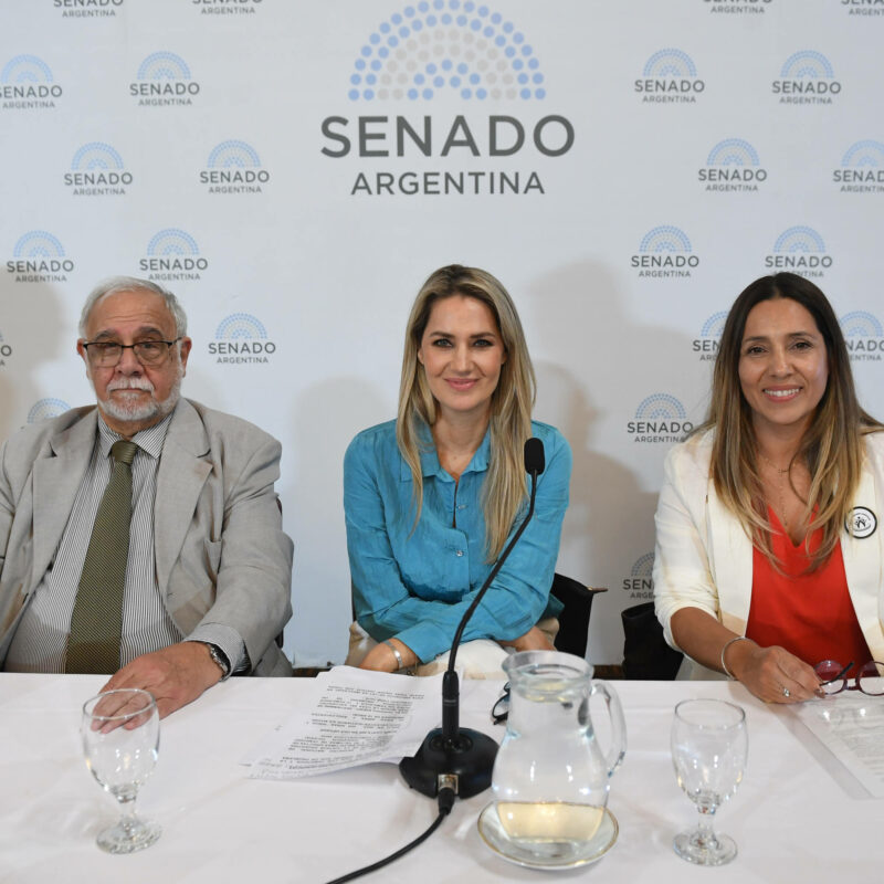 Falsas denuncias: el Senado avanza con un proyecto para proteger a las víctimas y sancionar el uso malicioso de la Justicia
