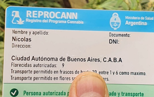 Cannabis: absolvieron a una mujer condenada por tenencia con fines de comercialización que tenía REPROCANN