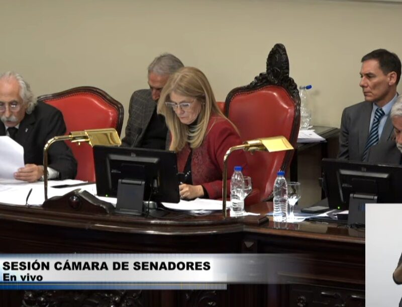 Aprobaron 93 pliegos judiciales: Berazategui tendrá nuevo juez de Garantías y fiscal de Quilmes va de camarista a La Plata
