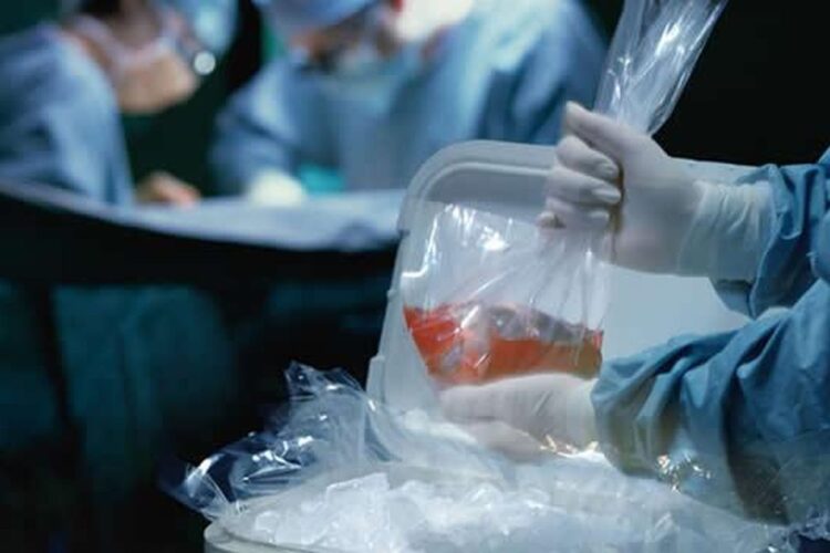 Se dictaminó en el Senado un proyecto que busca autorizar la donación de órganos de menores de edad post mortem