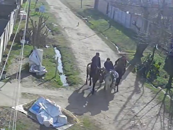 Bosques: se robaron una cabra a caballo; intentaron matar a un policía y le robaron a otro vecino, fueron detenidos