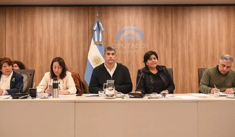 Se recibieron 27 impugnaciones y más de 8 mil adhesiones hacia los candidatos para Defensor del Niño