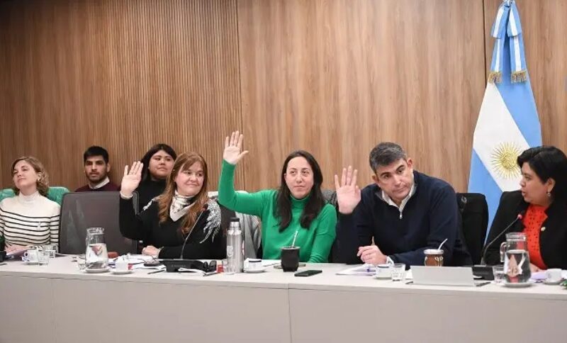 La Bicameral del Niño creó un Consejo Asesor para acompañar el concurso público