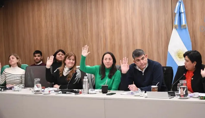 La Bicameral del Niño creó un Consejo Asesor para acompañar el concurso público