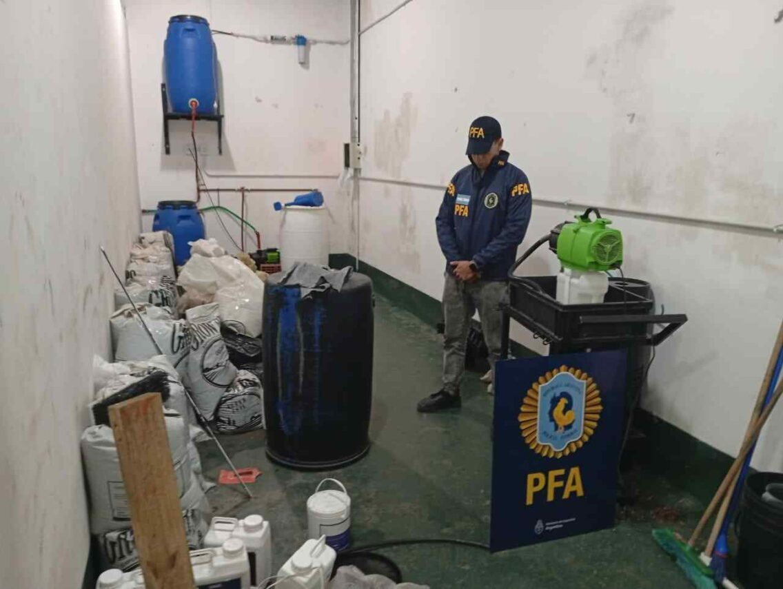 Desarticulan vivero de drogas con intervención de la Justicia Federal de Quilmes