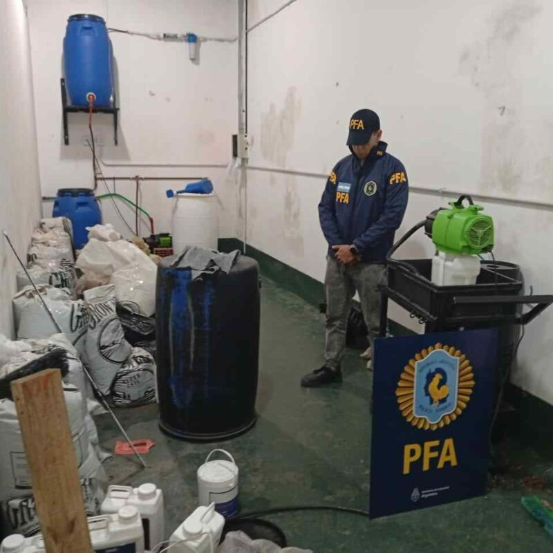 Desarticulan vivero de drogas con intervención de la Justicia Federal de Quilmes