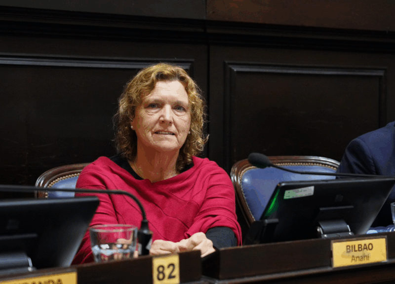 Proponen crear un sistema de viviendas tuteladas para personas con discapacidad