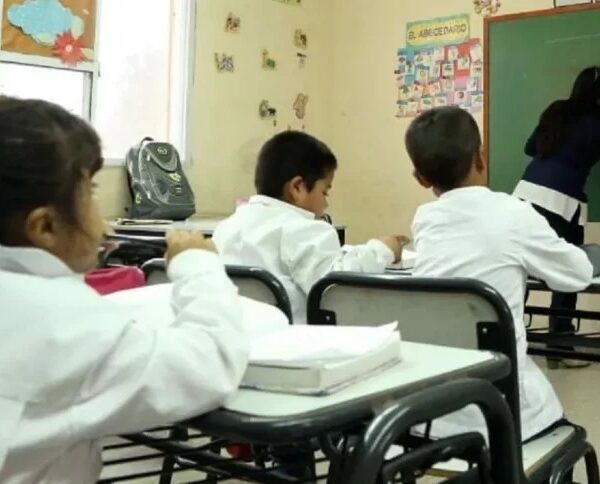 Ingresó en Diputados una ley de Educación Digital Integral obligatoria