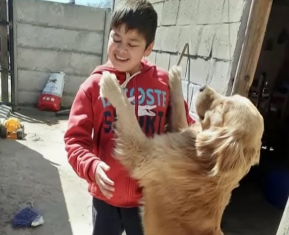 Berazategui: una familia busca desesperadamente un perro guía robado