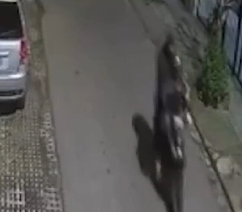 A los gritos, evitó que le robaran en Los Hornos