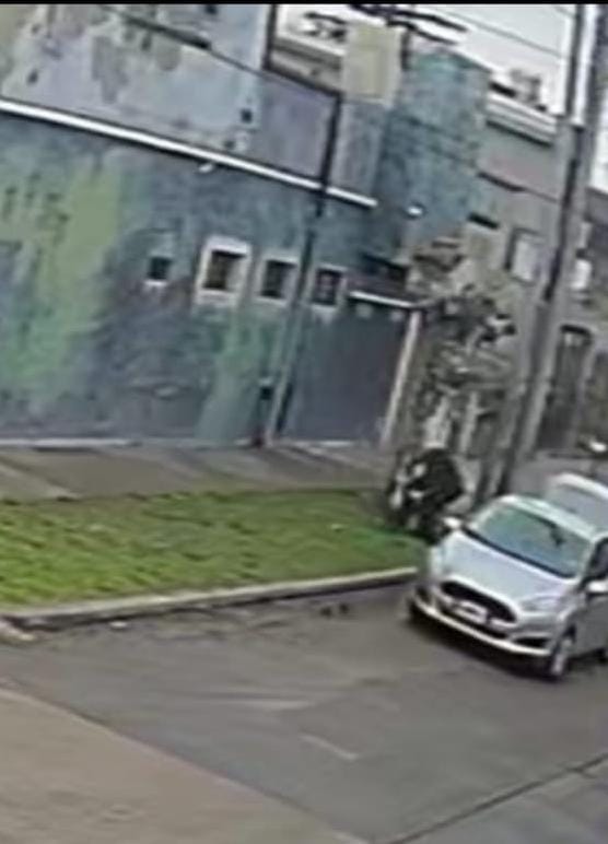 Un vecino arrojó un perro muerto en la vía pública en Quilmes Este y fue denunciado por maltrato animal
