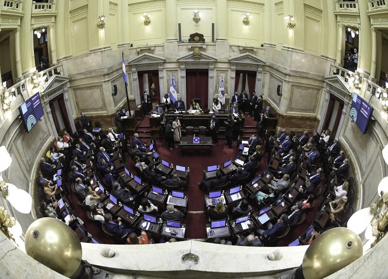 El Senado rechazó el veto de Milei y el Gobierno deberá promulgar la ley de Emergencia en Discapacidad