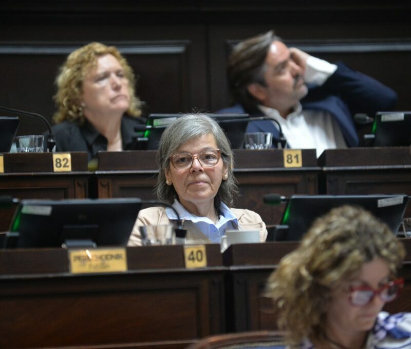 El radicalismo pide la adhesión a la Ley Nicolás, para evitar casos de mala praxis