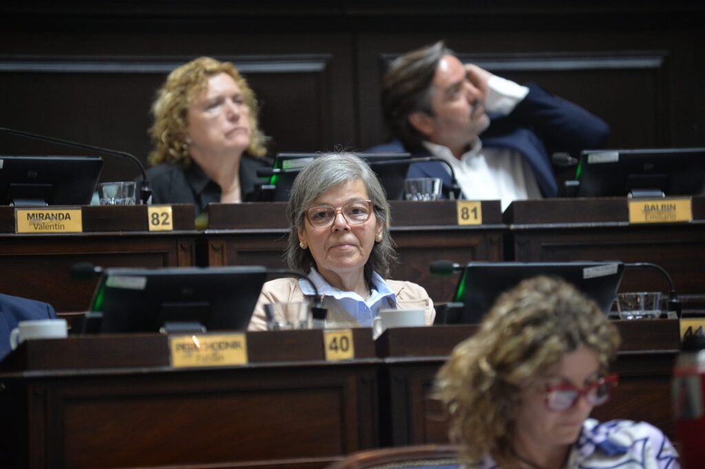 El radicalismo pide la adhesión a la Ley Nicolás, para evitar casos de mala praxis