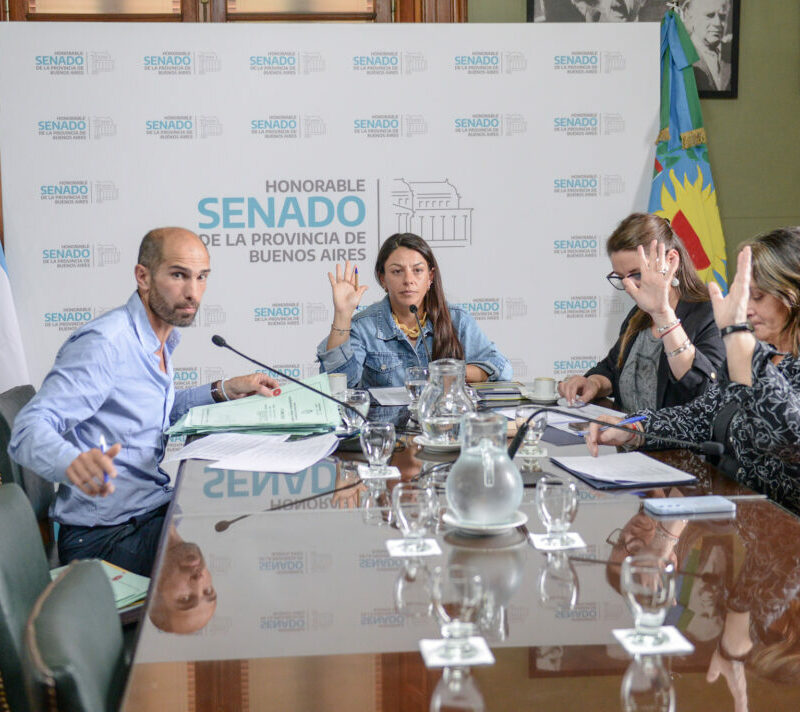 Senado bonaerense: avanza una ley para fortalecer la prevención del abuso sexual infantil