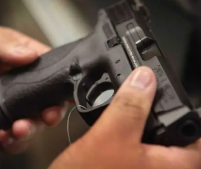 Buscan derogar un decreto sobre desregulación de tenencia de armas